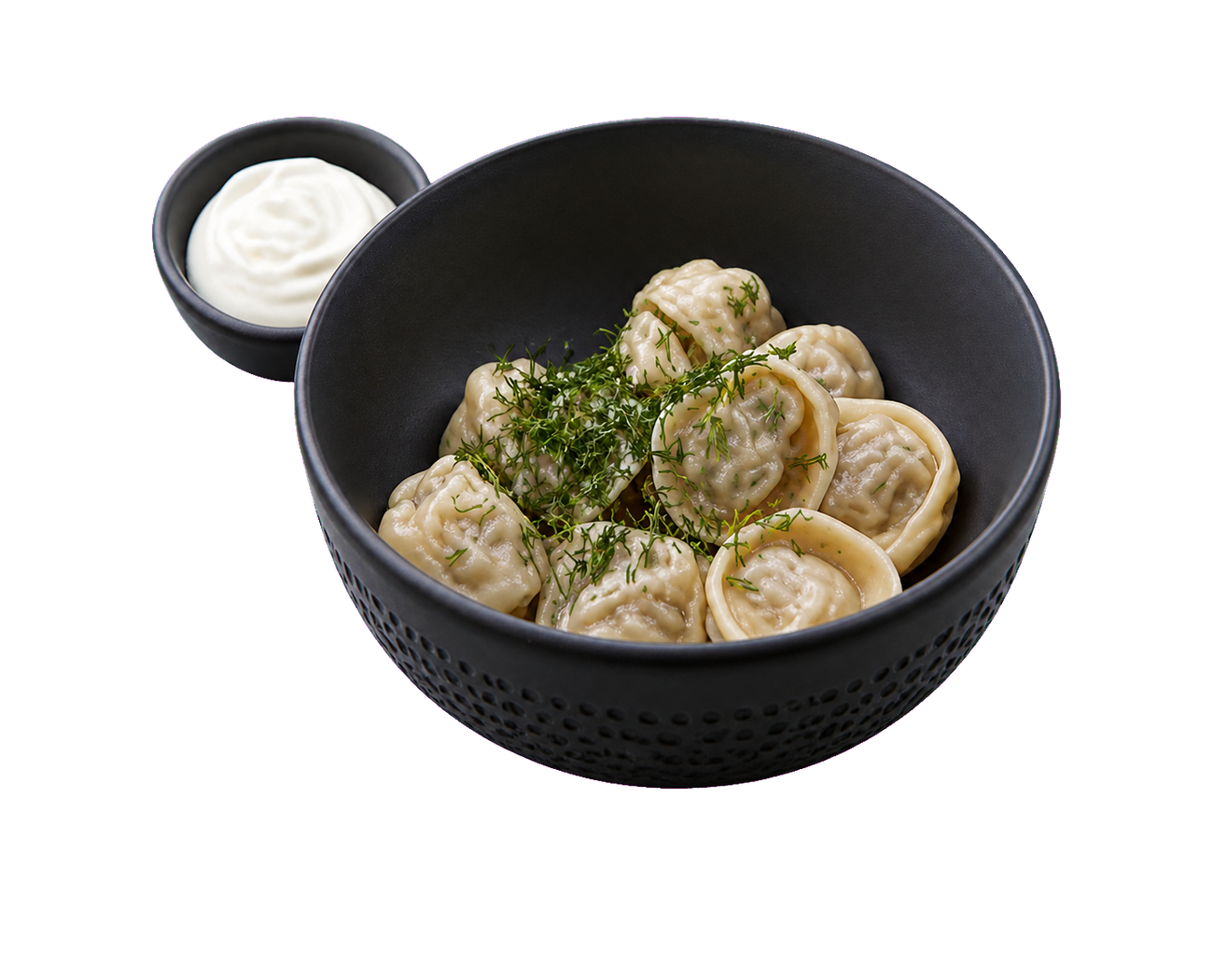 Chicken Dumplings with Sour Cream
