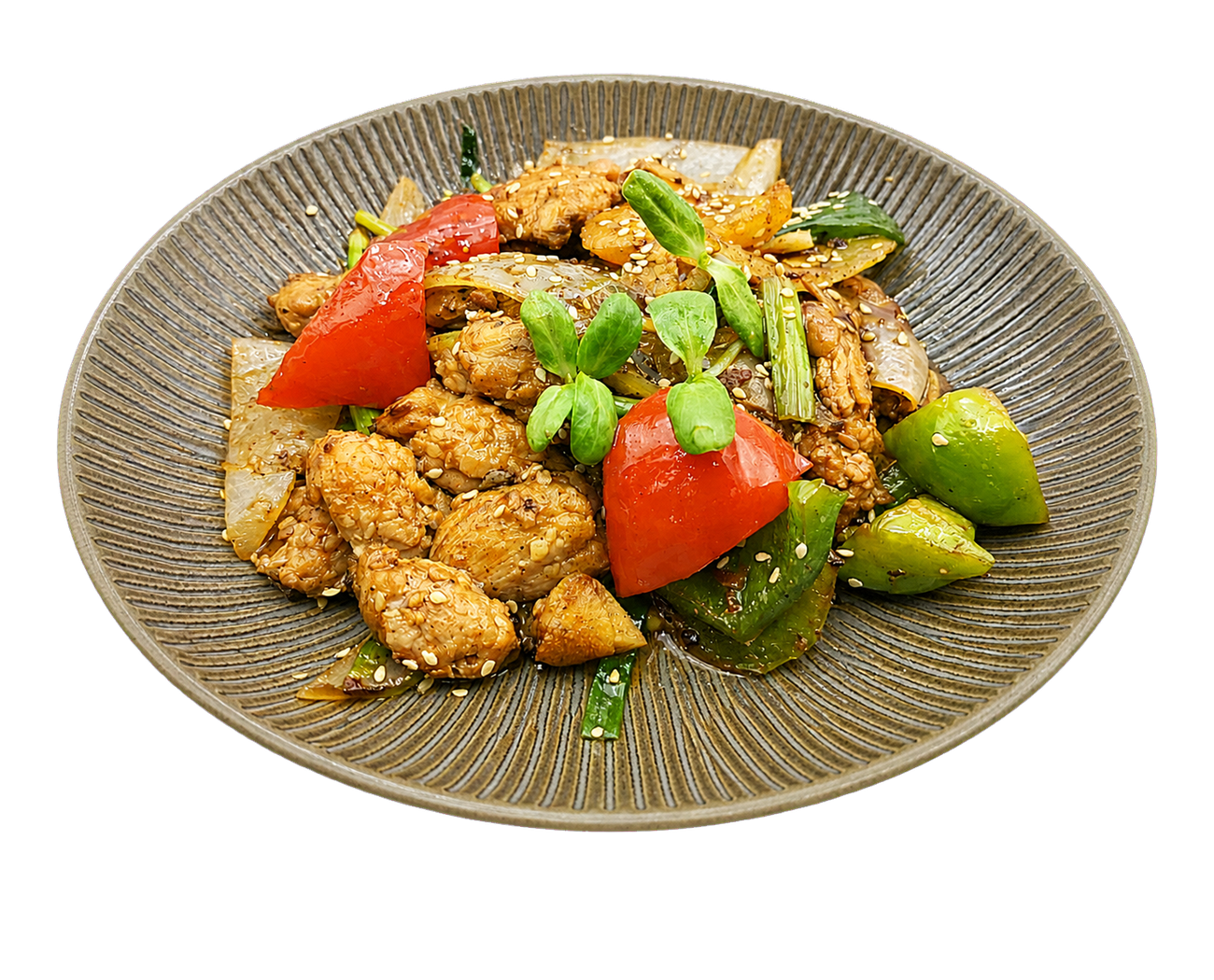 Chicken Jiz with Vegetables