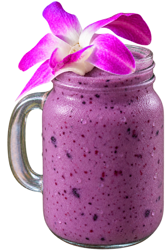 Blueberry (With Yogurt) Shake